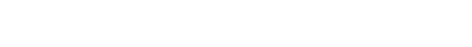 Lyon Marketing Co